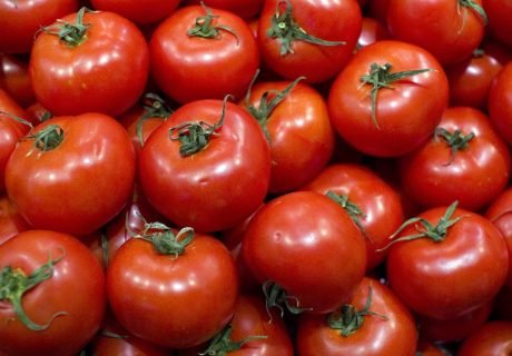 benefícios do tomate