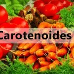 carotenóides