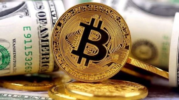 previsoes do bitcoin para 2019
