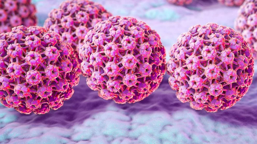 hpv