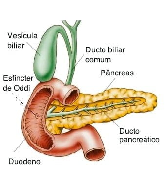 como ocorre o tumor de pâncreas?
