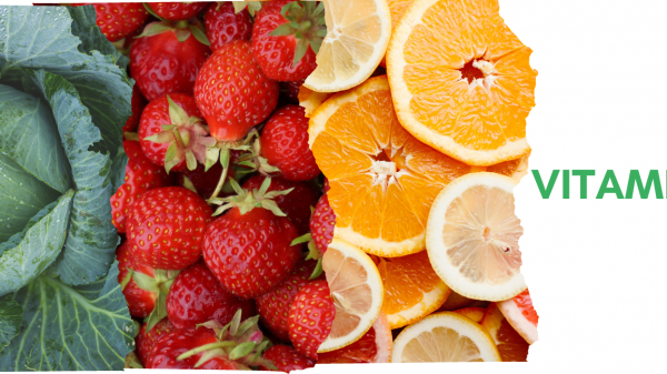 tudo sobre a vitamina E, usos, efeitos colateriais consumo diário e fontes