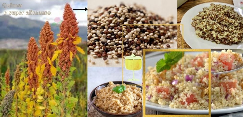 como aproveitar os benefícios da quinoa
