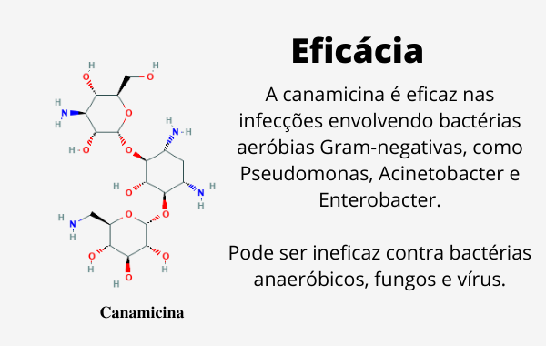 estrutura química e eficácia da canamicina 