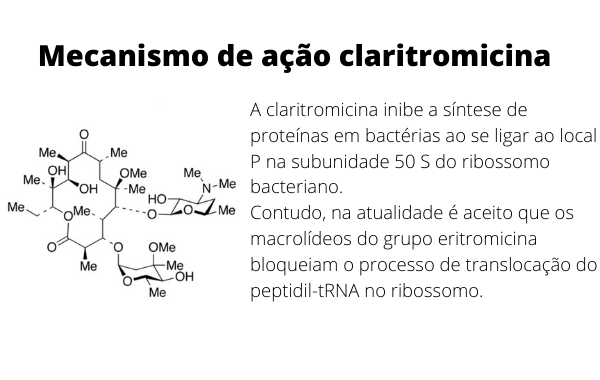 estrutura química e mecanismo de ação da claritromicina