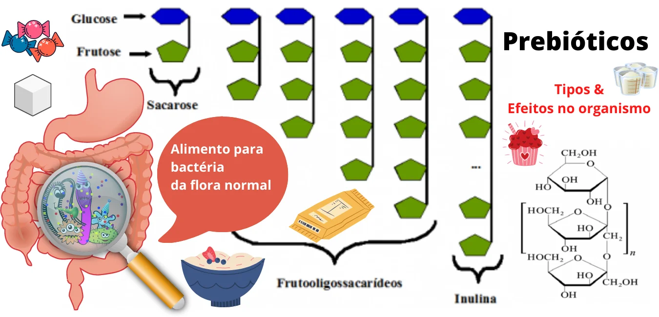 prebiótico