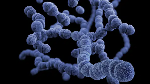 Streptococcus, toxinas e doenças