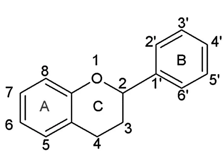 esqueleto básico dos flavonóides