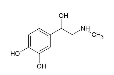 estrutura-química-da-adrenalina-ou-epinefrina
