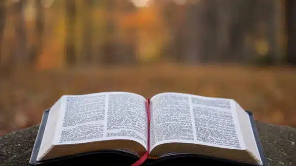 A BÍBLIA COMO LIVRO