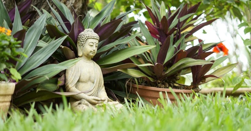 buddha statue on green grass field during daytime