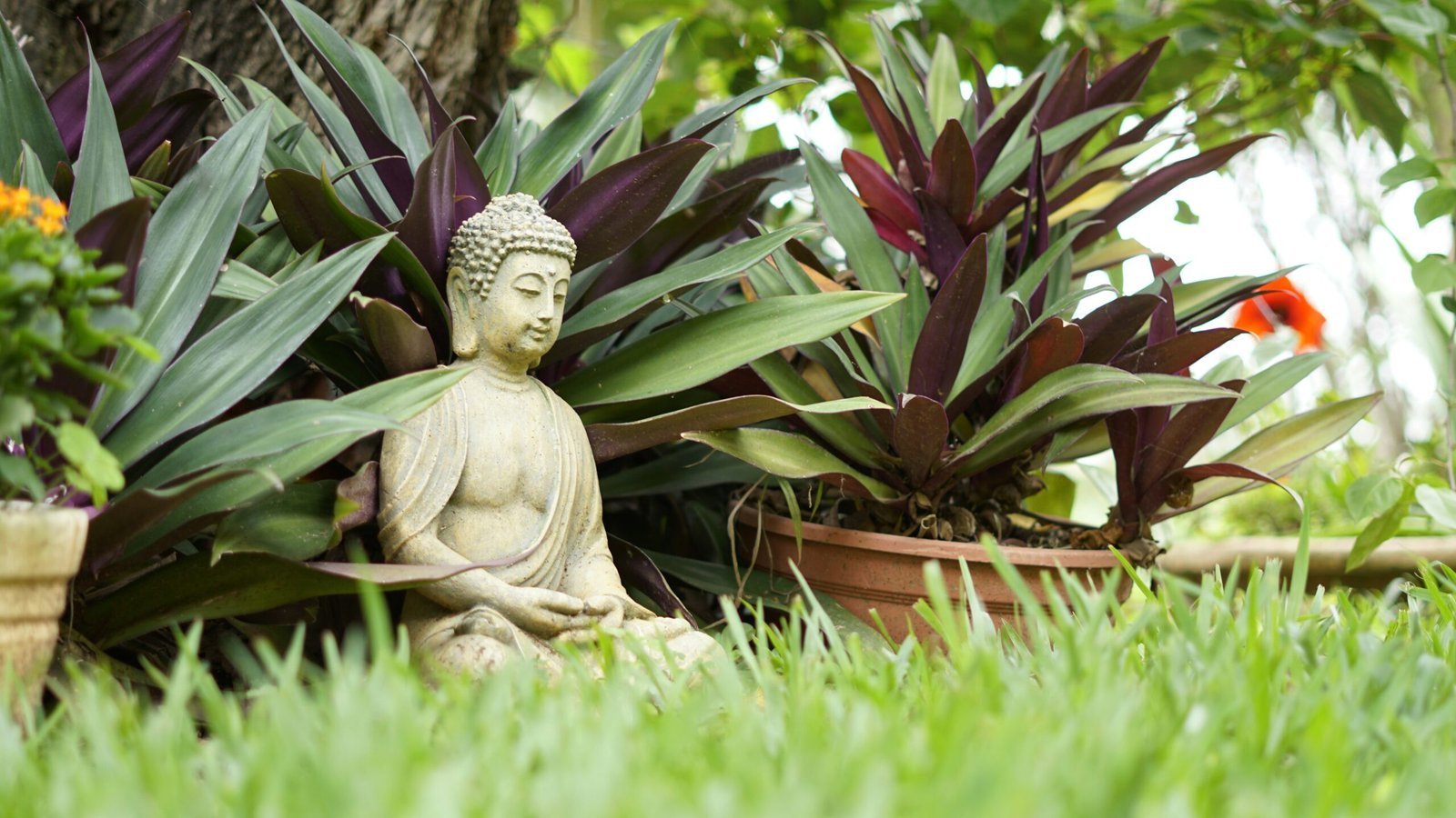 meditação para ansiedade