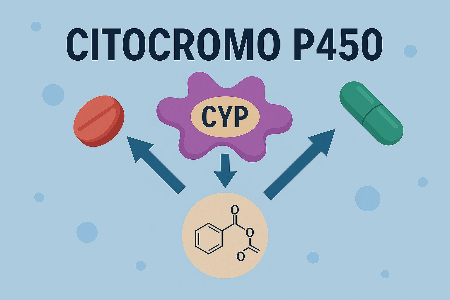 citocromo P450