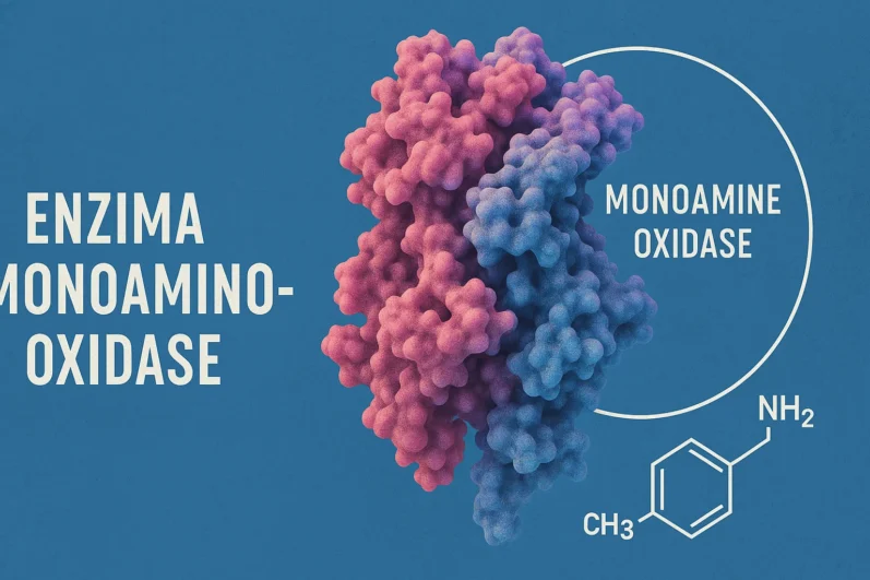 monoaminaoxidases