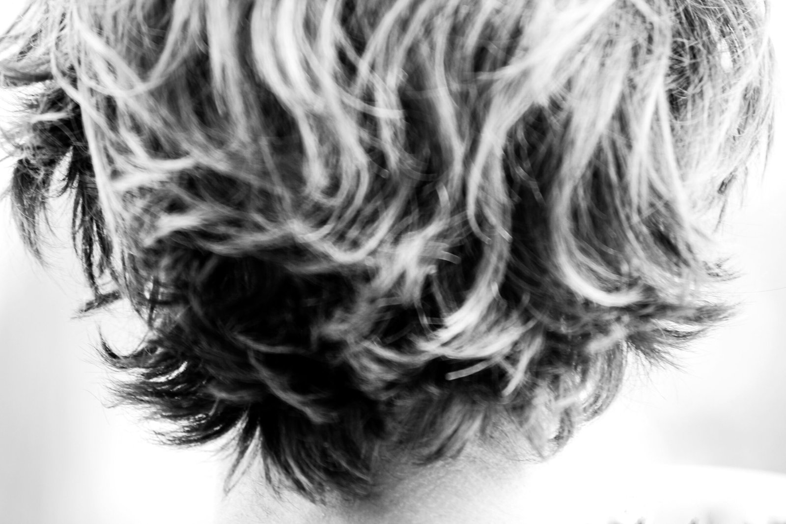 Os Diferentes Tipos de Cabelo: Conheça as Características e Cuidados