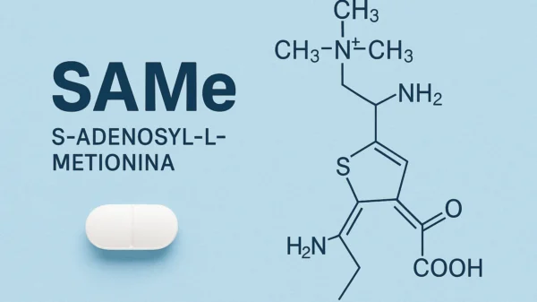 SAMe (S-adenosil-L-metionina)